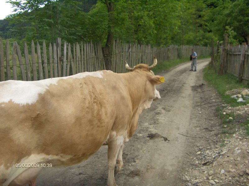 Cetatea dacică Costeşti – Cetăţuie