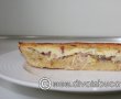 Tarta cu praz si 3 feluri de branza-0