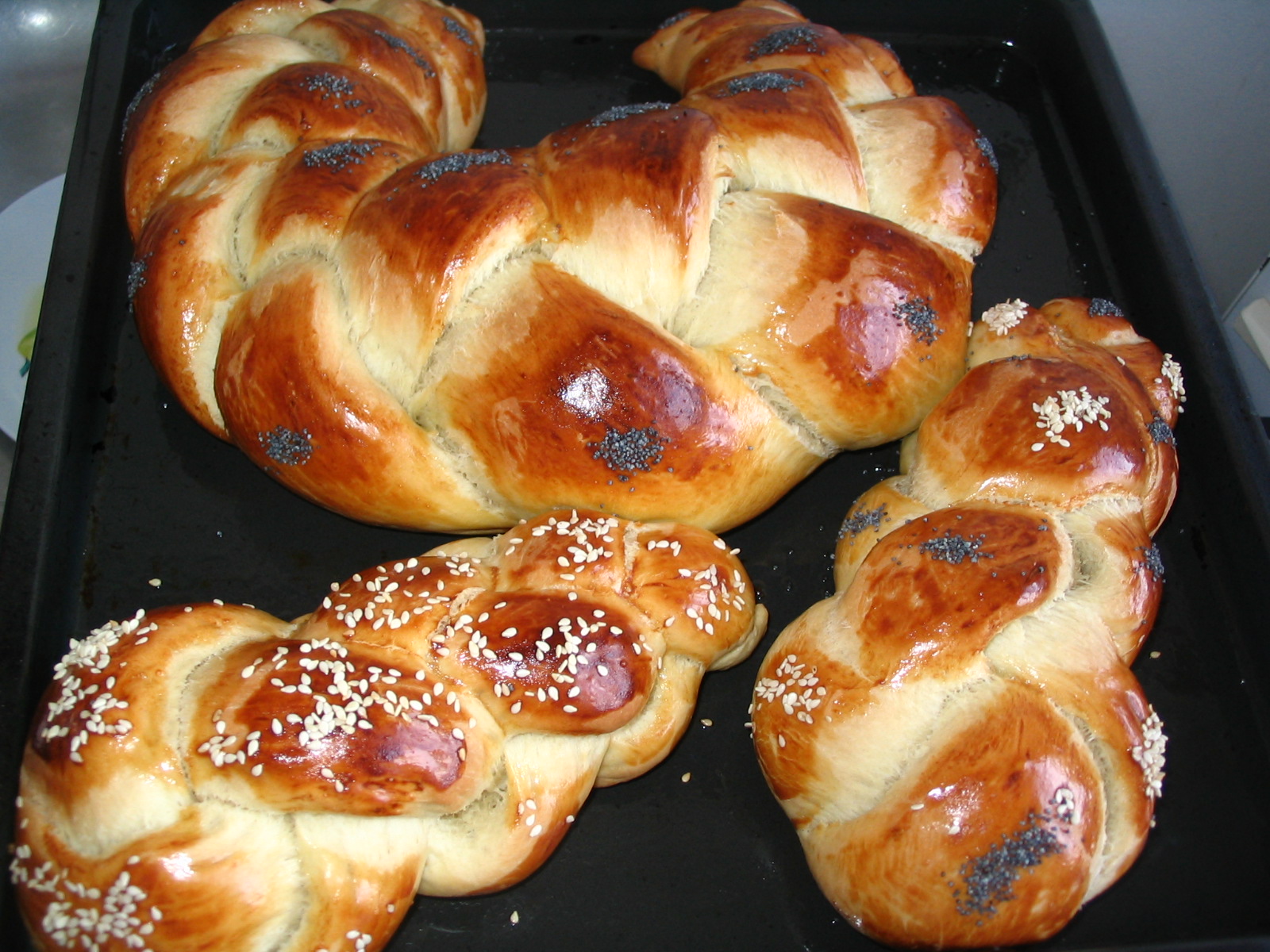 Paine Challah- painica evreiasca