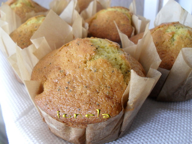 Briose cu seminte de mac (Poppy Seed Muffins)