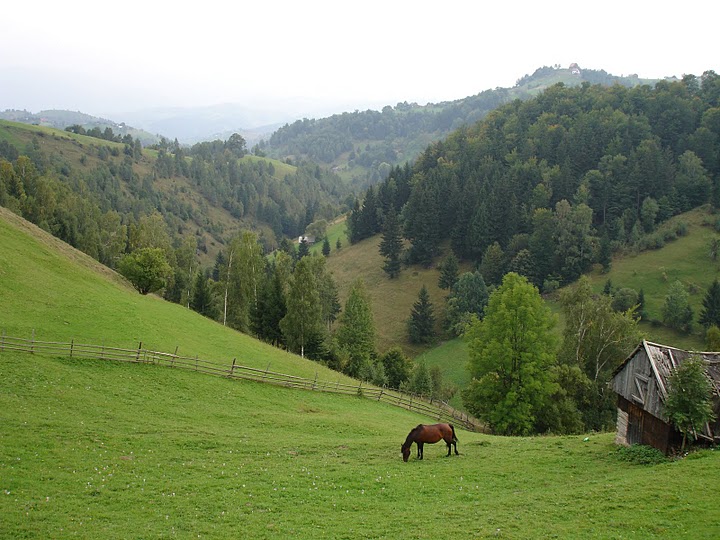 Sat Magura, o zona virgina
