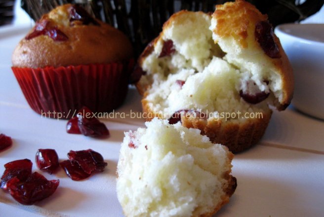 Cranberry Muffins