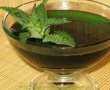 Sirop de menta-1