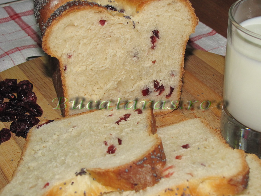 Cranberries Bread