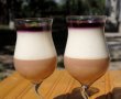 Panna cotta cu ciocolata si topping de fructe de padure-0