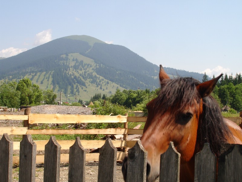 Maramu si nu numai