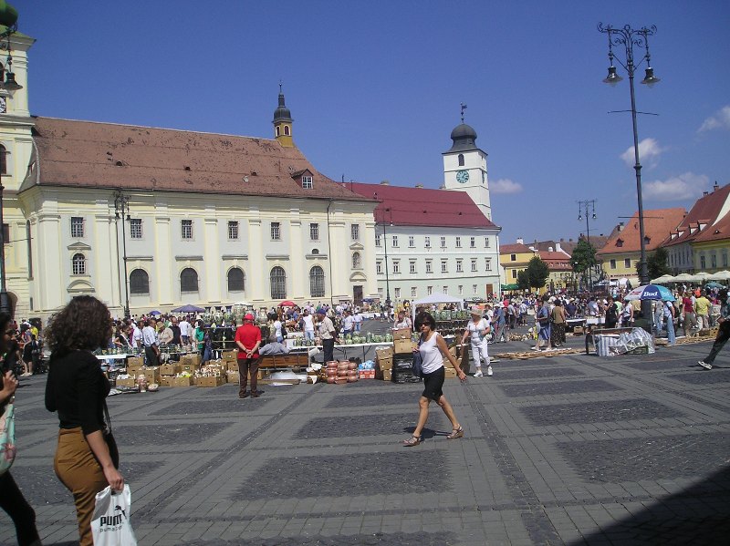 Targul olarilor Sibiu 3-4.09.2011