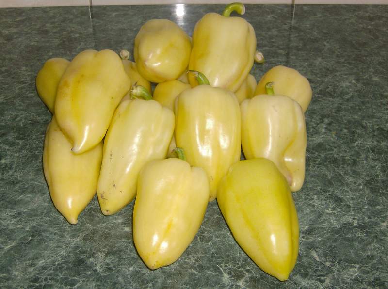 Salata de ardei copti