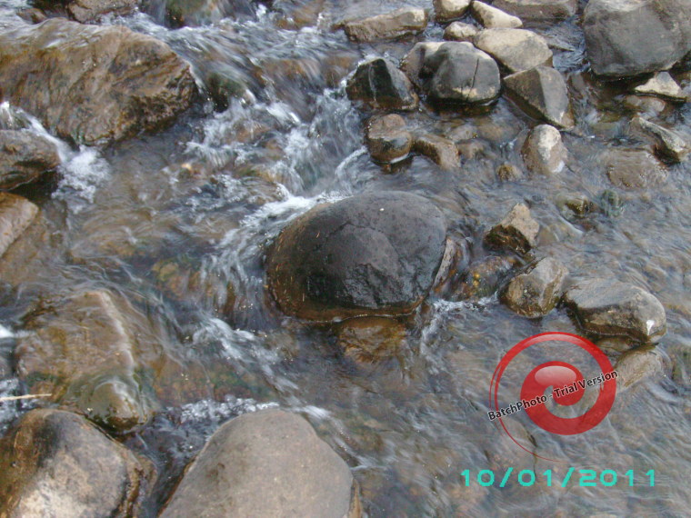 Cheile Tătarului Maramureş,frumuseţe şi sălbăticie