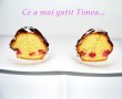 Muffins cu strugurei si glazura de ciocolata-11