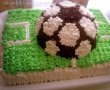 Tort teren de fotbal-3