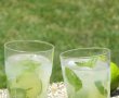 Mojito Cocktail-0