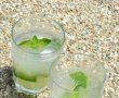 Mojito Cocktail-1