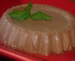 Mousse de ciocolata-0