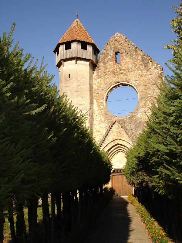 Traseu de munte in anul acesta