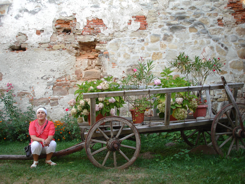 Traseu de munte in anul acesta