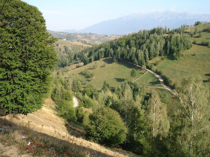 Traseu de munte in anul acesta