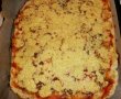 Pizza cu branza de casa-6