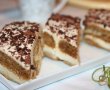 Tiramisu reţetă cu frisca-3