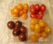 Salata 4mix cherry tomatoes Quattro stagioni-0