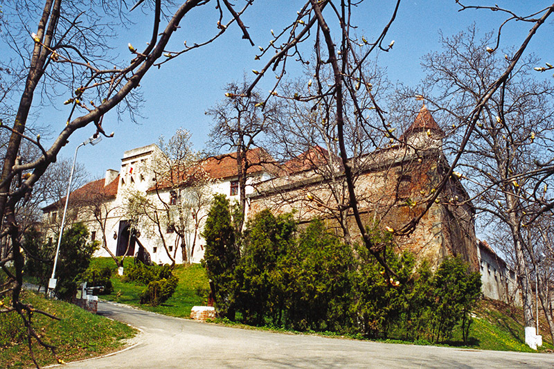 ÎNTÂLNIREA BUCĂTĂRAŞILOR DE LA BRAŞOV - 2013