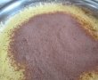 Prajitura cu visine, cacao si ciocolata-4