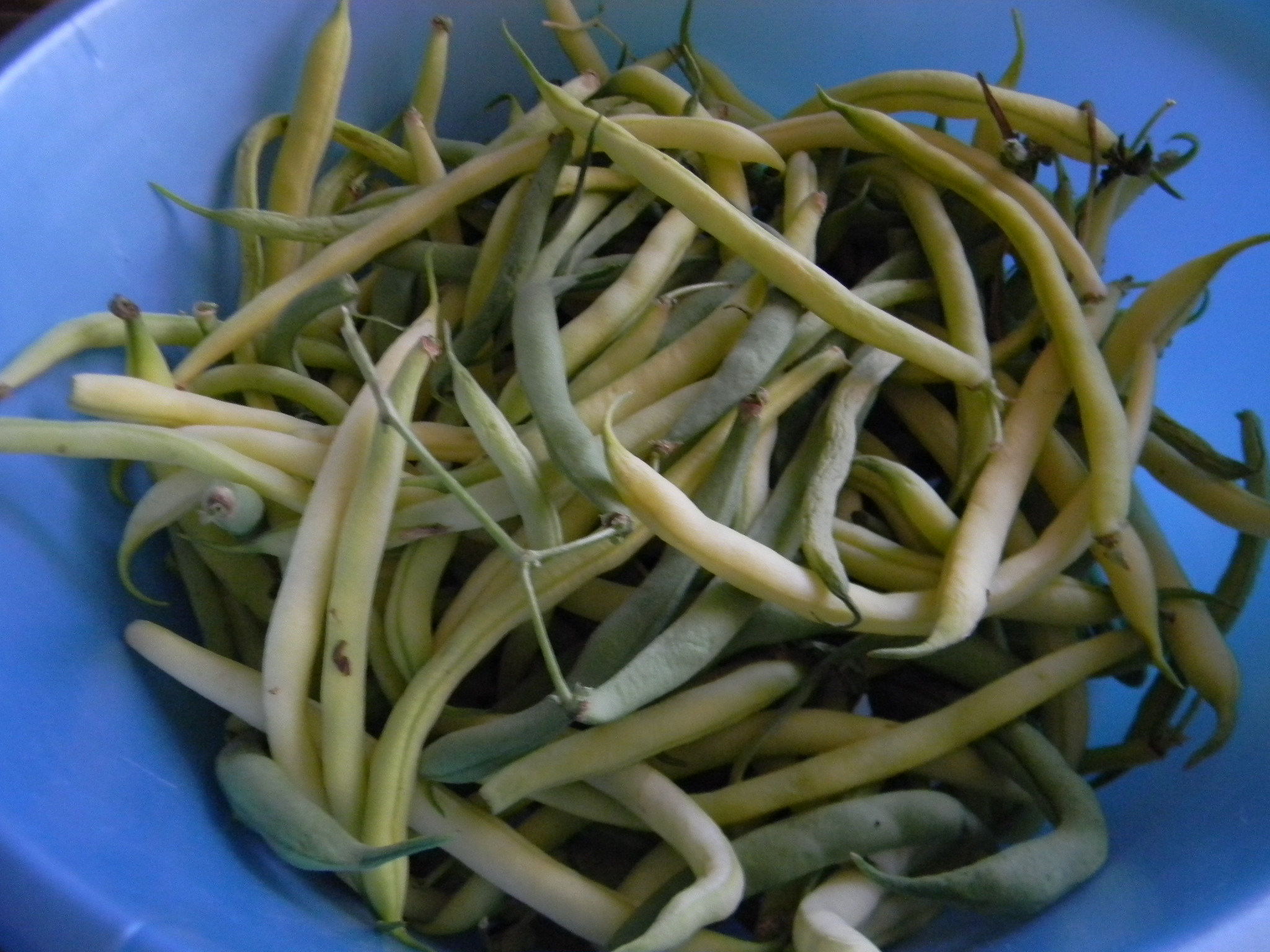 Salata de fasole verde cu maioneza si pesto