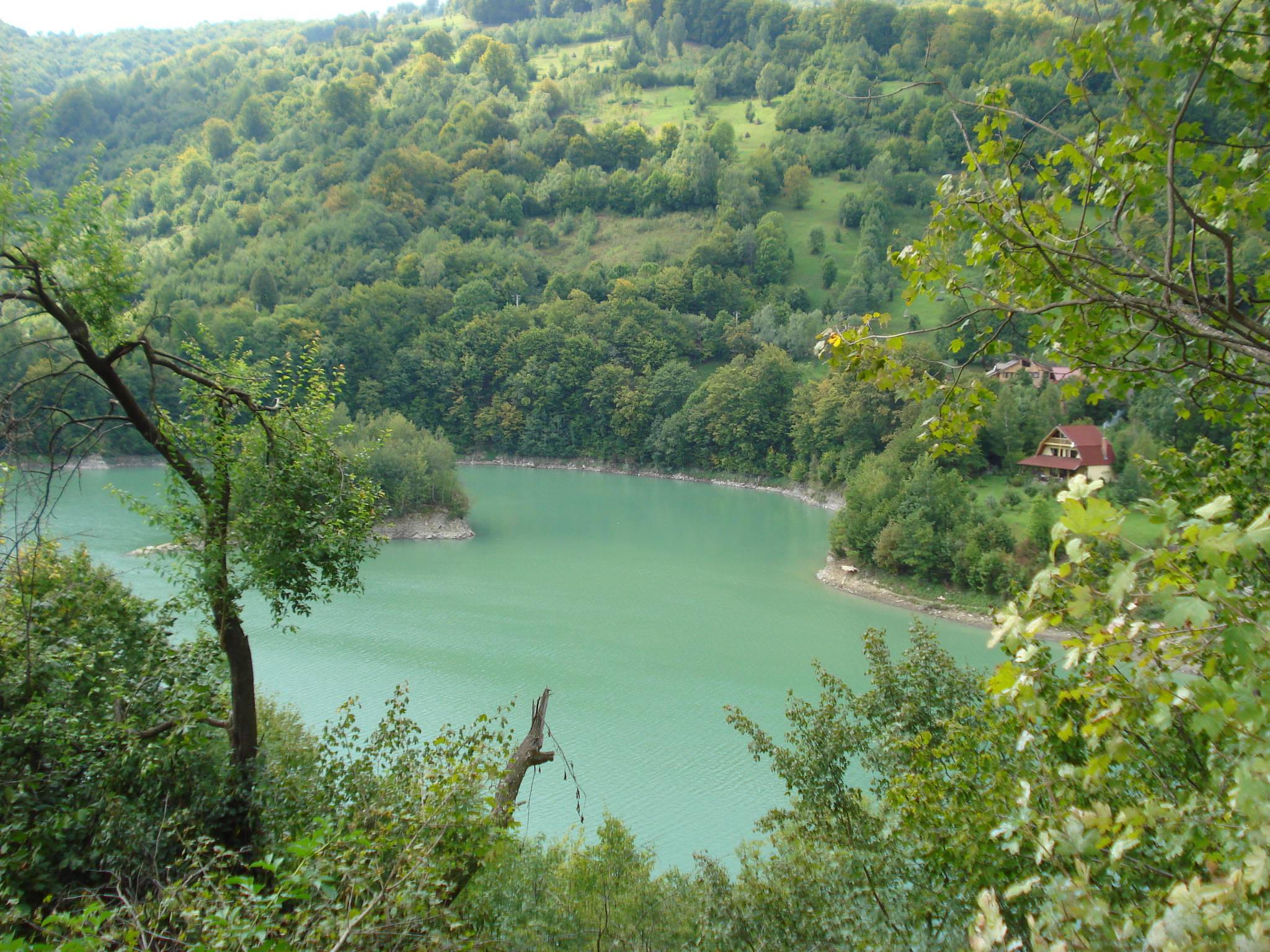 Festivalul cascavelei de la Valea Doftanei-Prahova