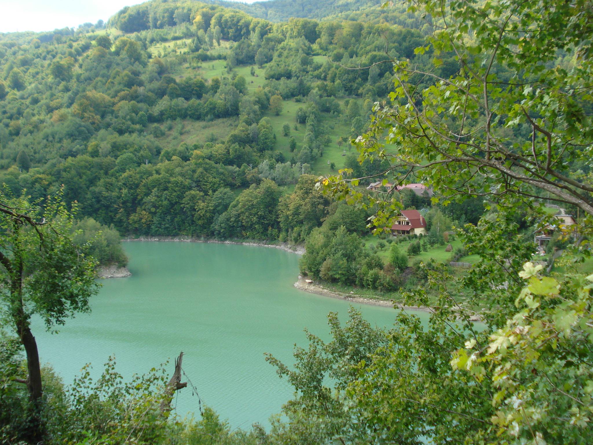 Festivalul cascavelei de la Valea Doftanei-Prahova