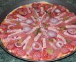 Pizza cu de toate (motaneasca)-9