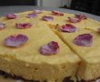 Aprikosenparfait Torte (Tort parfait de caise)-19