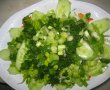 Salata verde-1