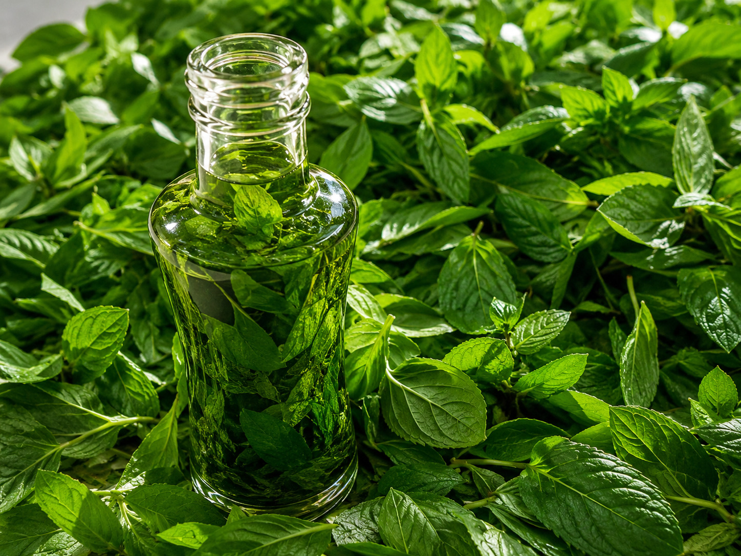 Extract de menta