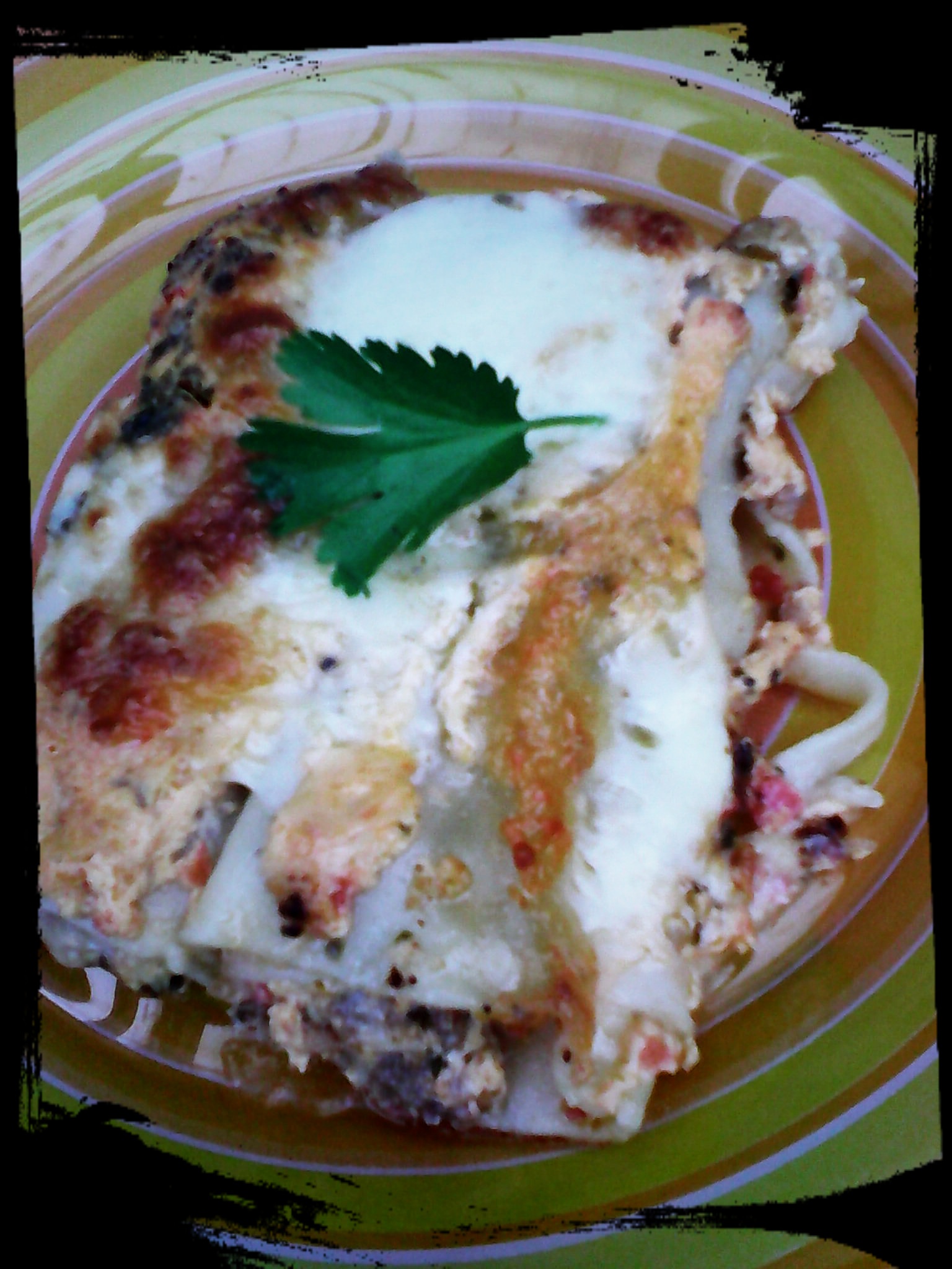 Cannelloni con carne si mozzarella