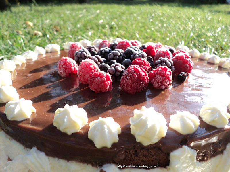 Tort cu ricotta si mousse de fructe de padure