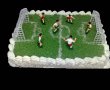 Tort teren de fotbal-1