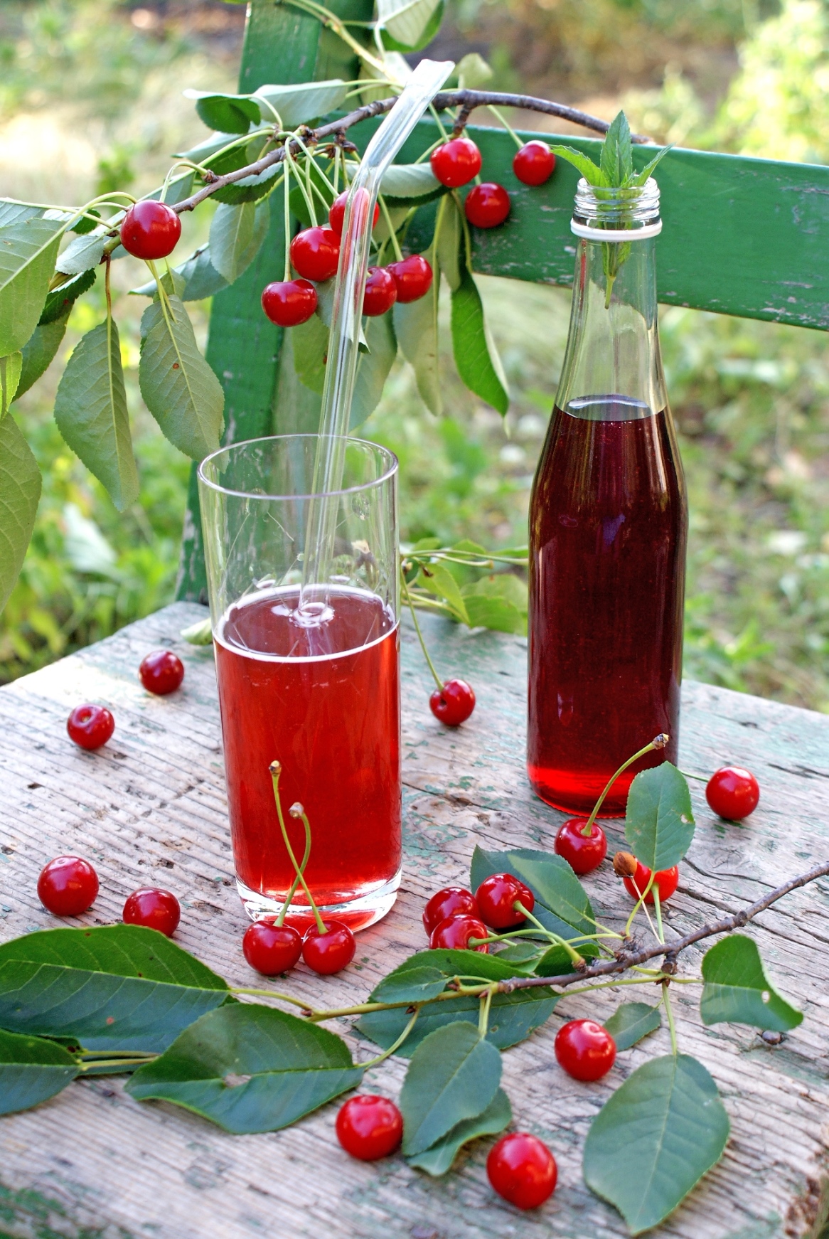 Sirop de visine cu menta