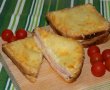 Sandwich croque  monsieur-13