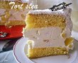 Tort stea-5