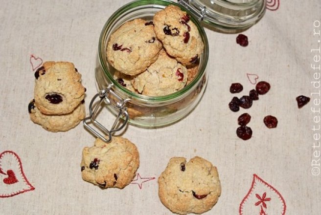 Biscuiti cu ovaz si merisoare