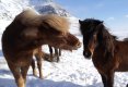 Calatorie in Islanda, tara ghetii si a focului-15