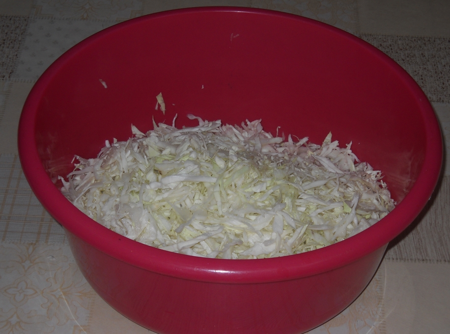 Salata de legume pentru iarna