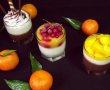 Panna cotta cu ciocolată,cu vanilie şi jeleu de mango-8