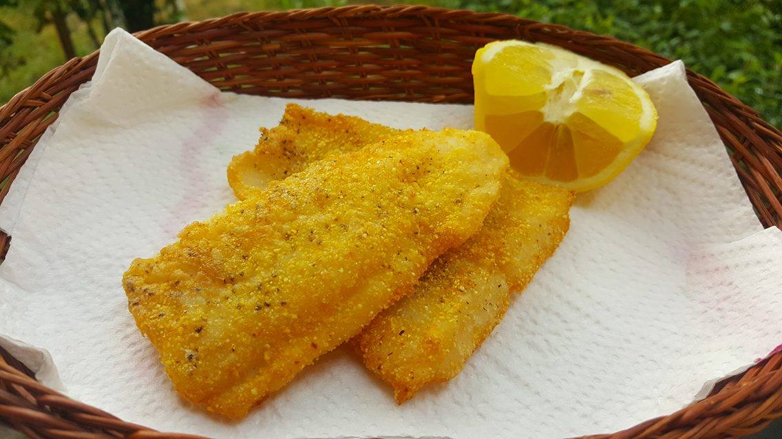 File de pangasius in crusta de malai