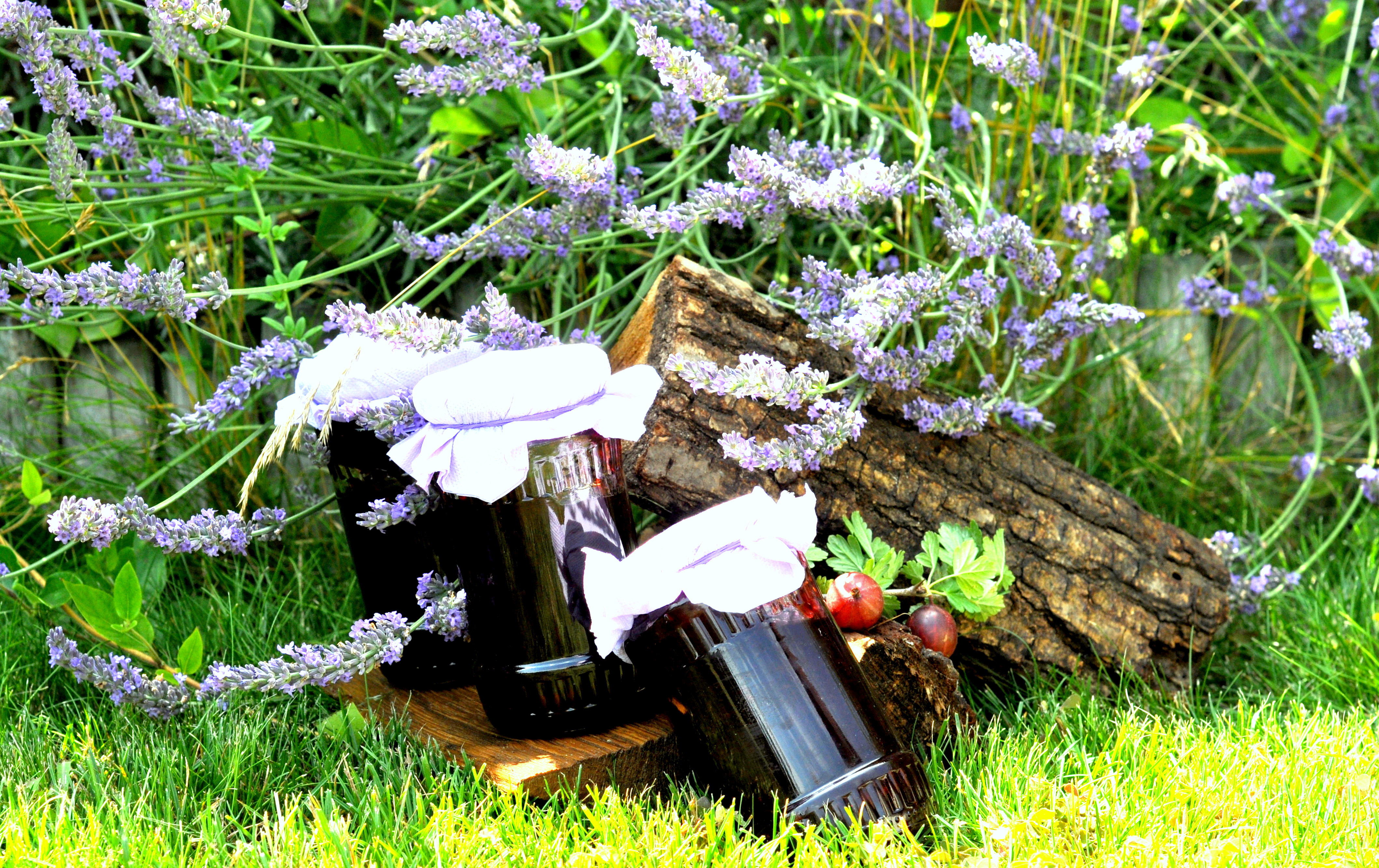 Dulceata de agrise cu lavanda - Provence