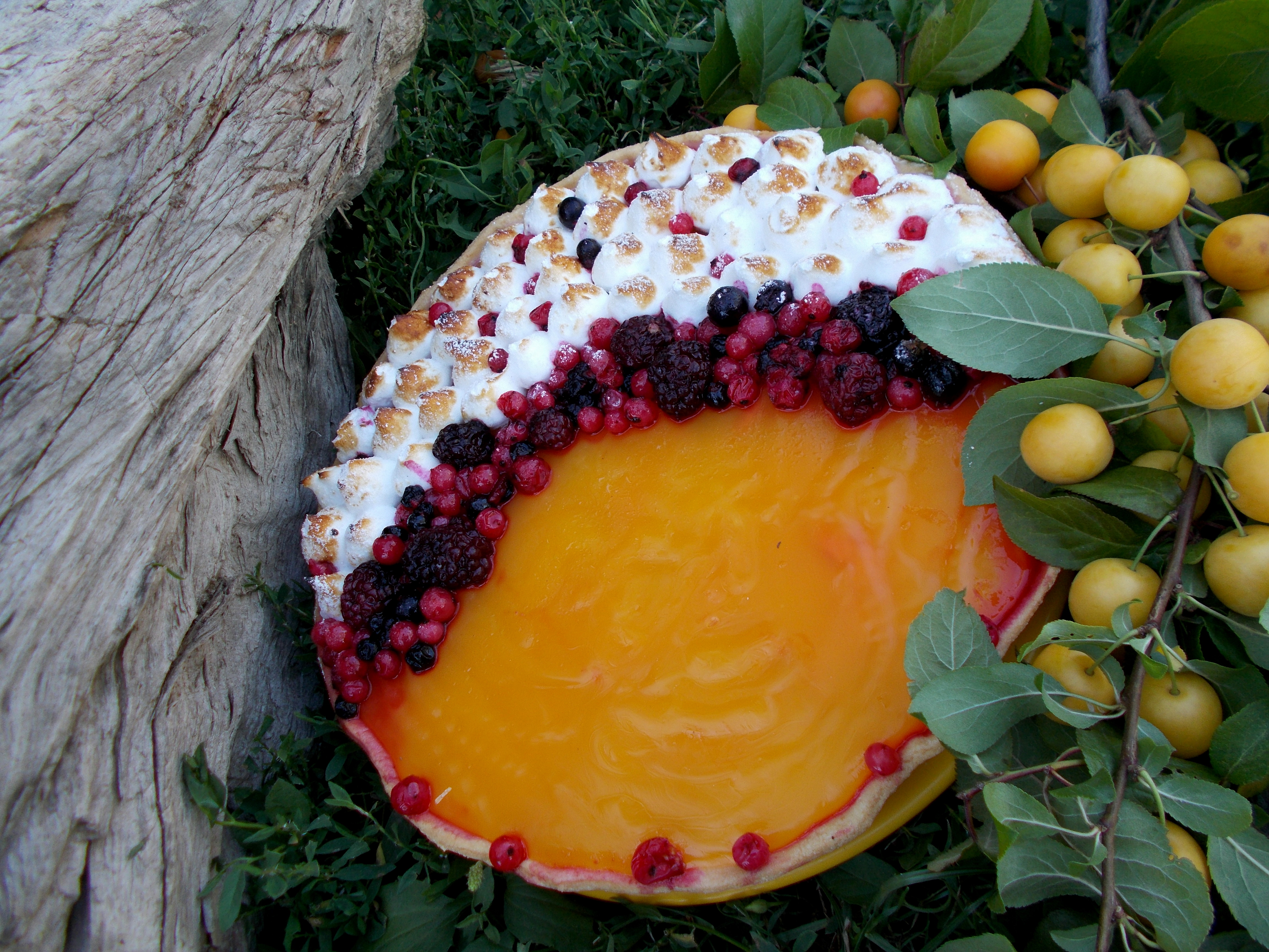 Tarta de fructe de padure si jeleu de corcoduse