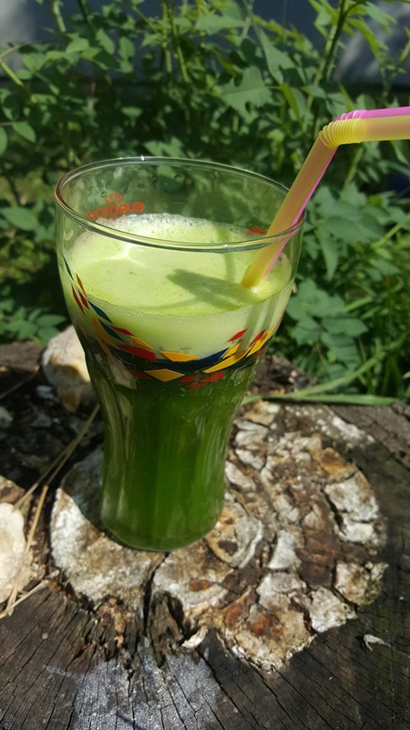 Detoxifiant de patrunjel