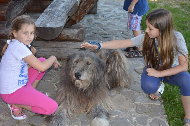 Cea mai frumoasa intalnire a bucatarasilor si o aniversare de milioane