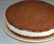 Tort cu crema de piersici si grilaj de ciocolata-10