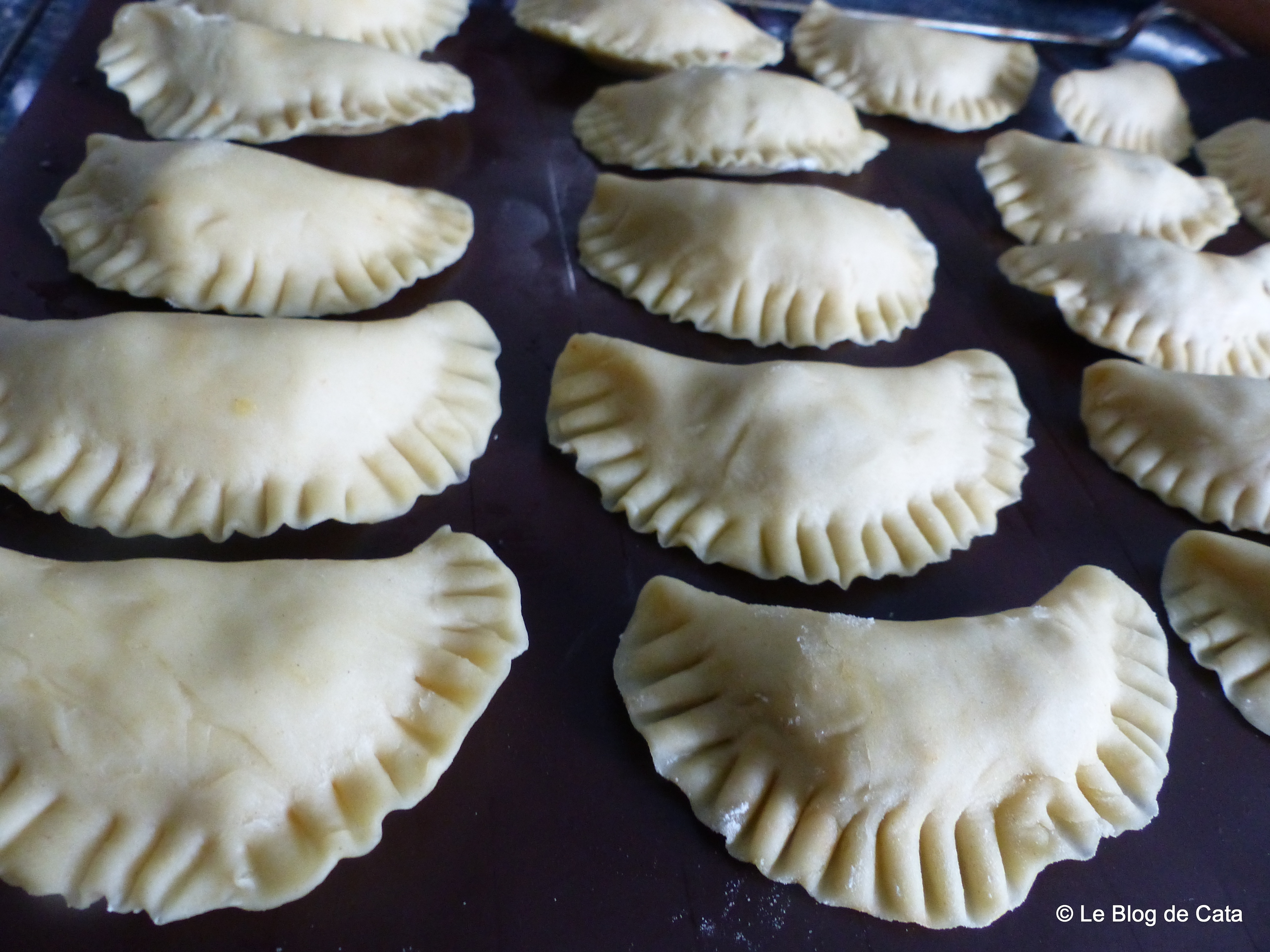 Empanadas / Pateuri  cu carne